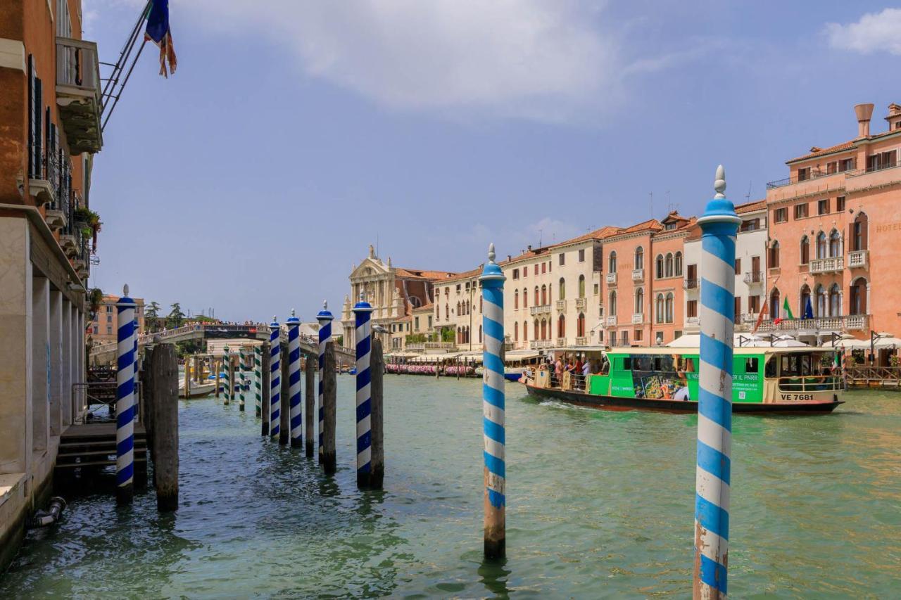 Cadamore Venecia